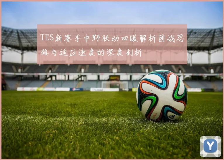 TES新赛季中野联动回暖解析团战思路与适应速度的深度剖析