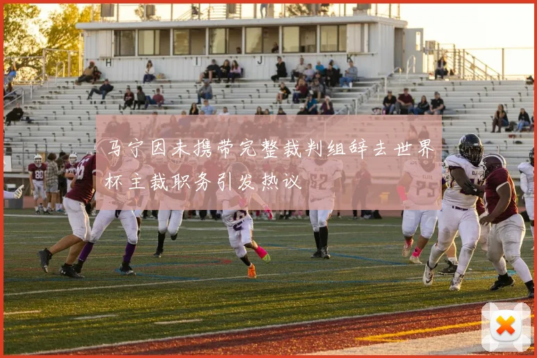 马宁因未携带完整裁判组辞去世界杯主裁职务引发热议