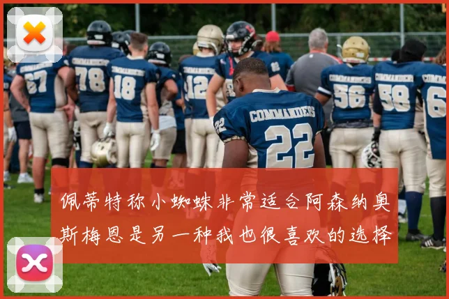 佩蒂特称小蜘蛛非常适合阿森纳奥斯梅恩是另一种我也很喜欢的选择